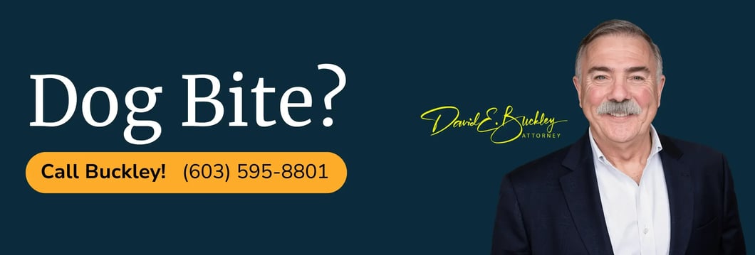 dog-bite-lawyer-nashua-nh-david-buckley