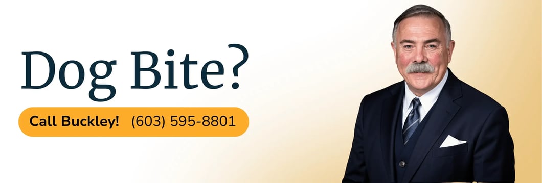 injury-lawyer-dog-bite-concord-nh-david-buckley