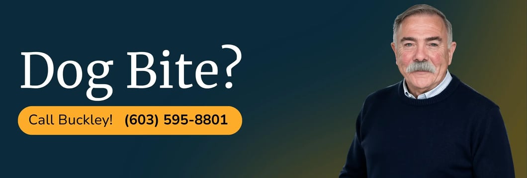 personal-injury-lawyer-dog-bite-nashua-nh-buckley