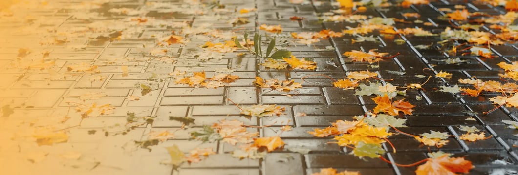wet-leaves-slip-hazard-portsmouth-buckley-law