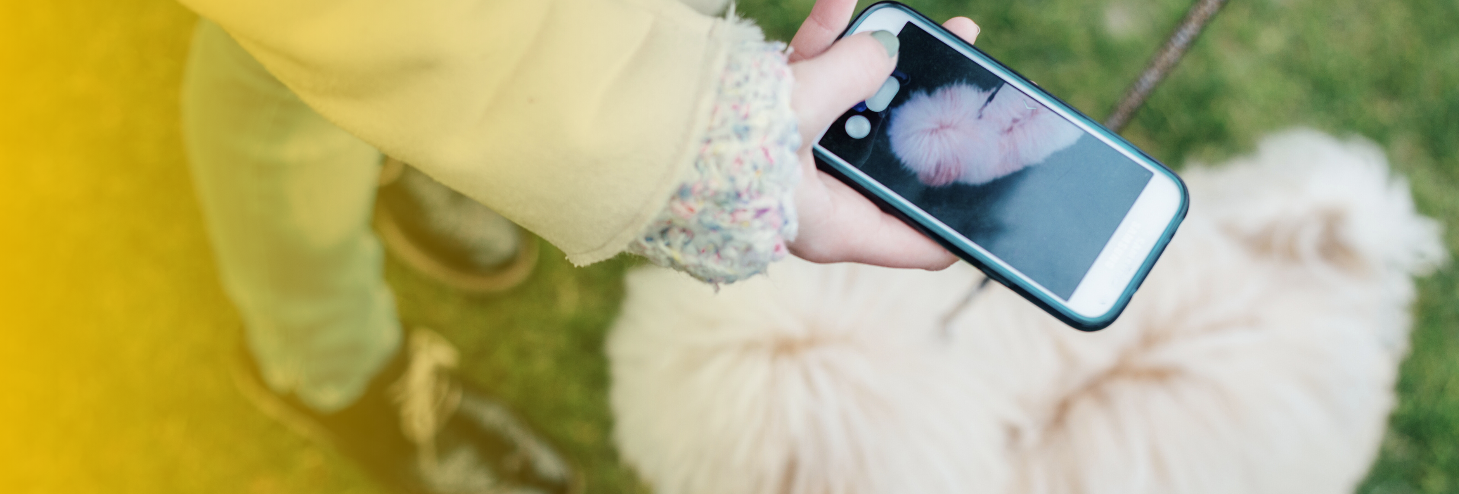 dog-bite-evidence-photo-nashua-nh-lawyer