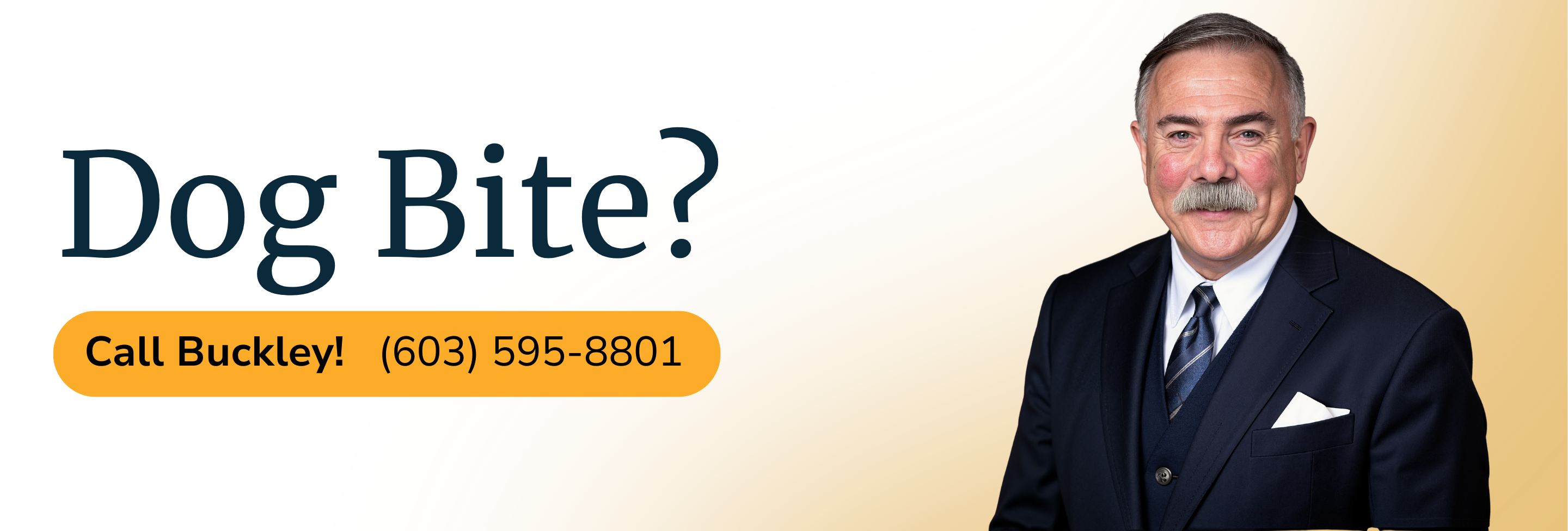 injury-lawyer-dog-bite-concord-nh-david-buckley