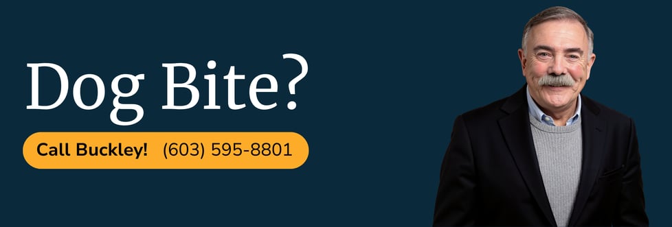 manchester-nh-dog-bite-attorney-david-buckley