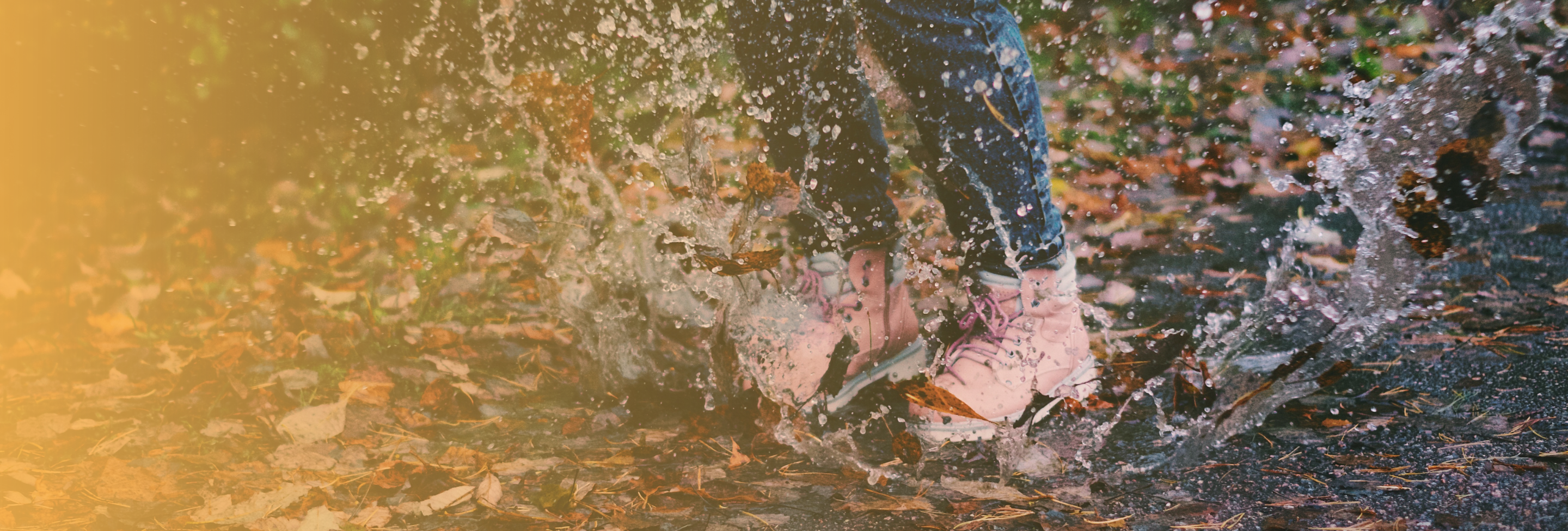 rain-puddle-wet-leaves-slip-hazard-portsmouth-buckley-law