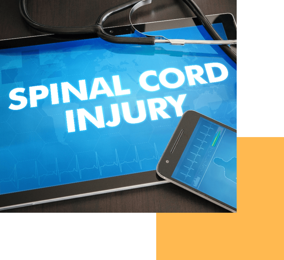 cord_single_image cord_single_image